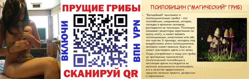 закладка  Бавлы  Псилоцибиновые грибы ЛСД 